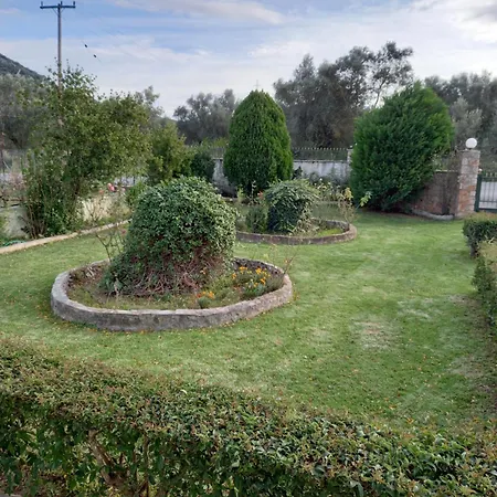 Phaedra Electra Estate